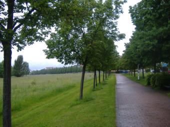Lindenallee an der Promenade in Gunzenhausen
