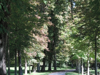 Kastanienallee im Schlosspark von Possenhofen am Starnberger See
