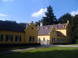 Rotbuchenallee im Park vom Schloss Syfriedsberg, Ziemetshausen